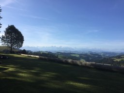 emmental 20196